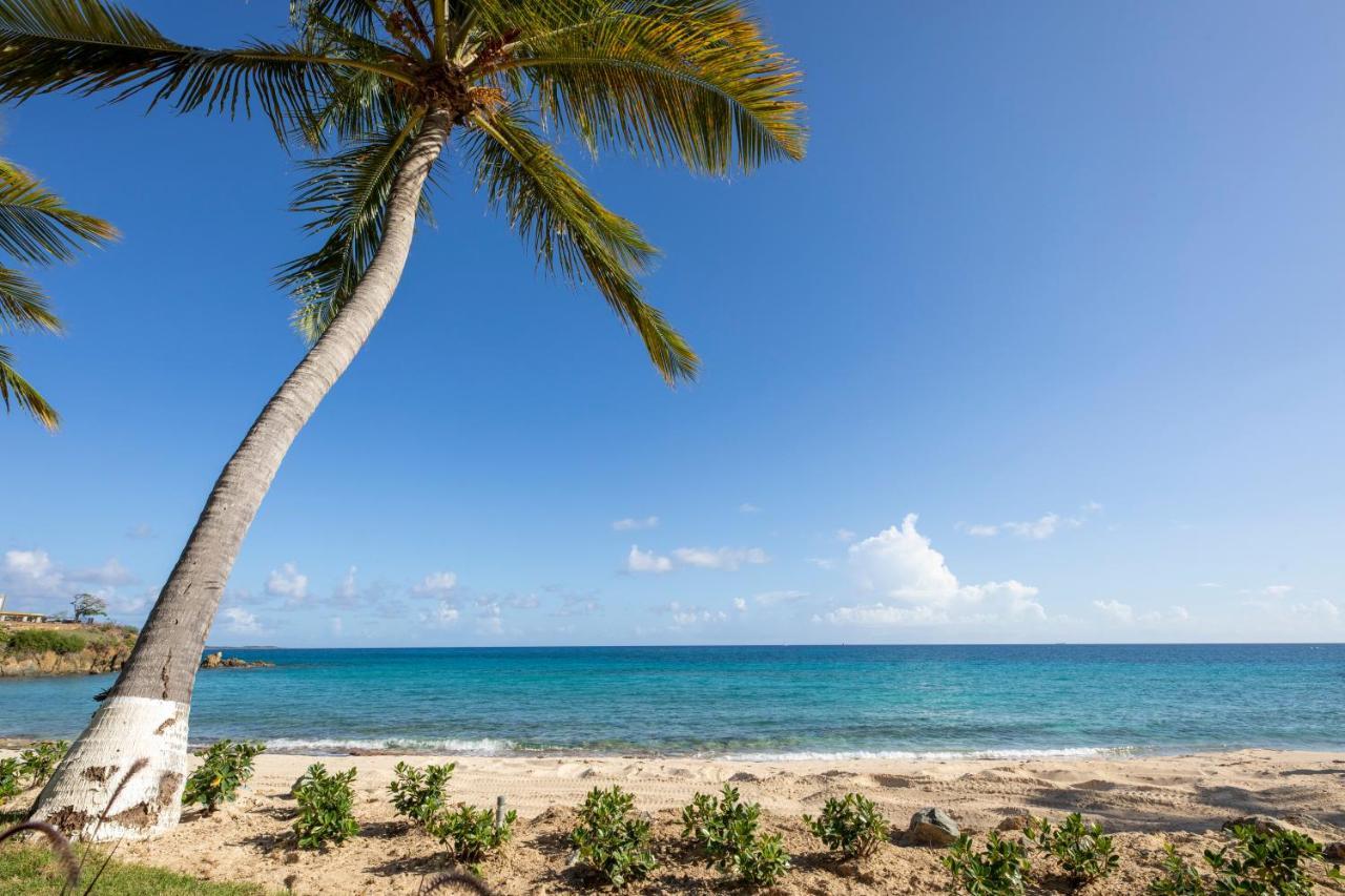 Limetree Beach Resort By Club Wyndham Bolongo Exteriör bild